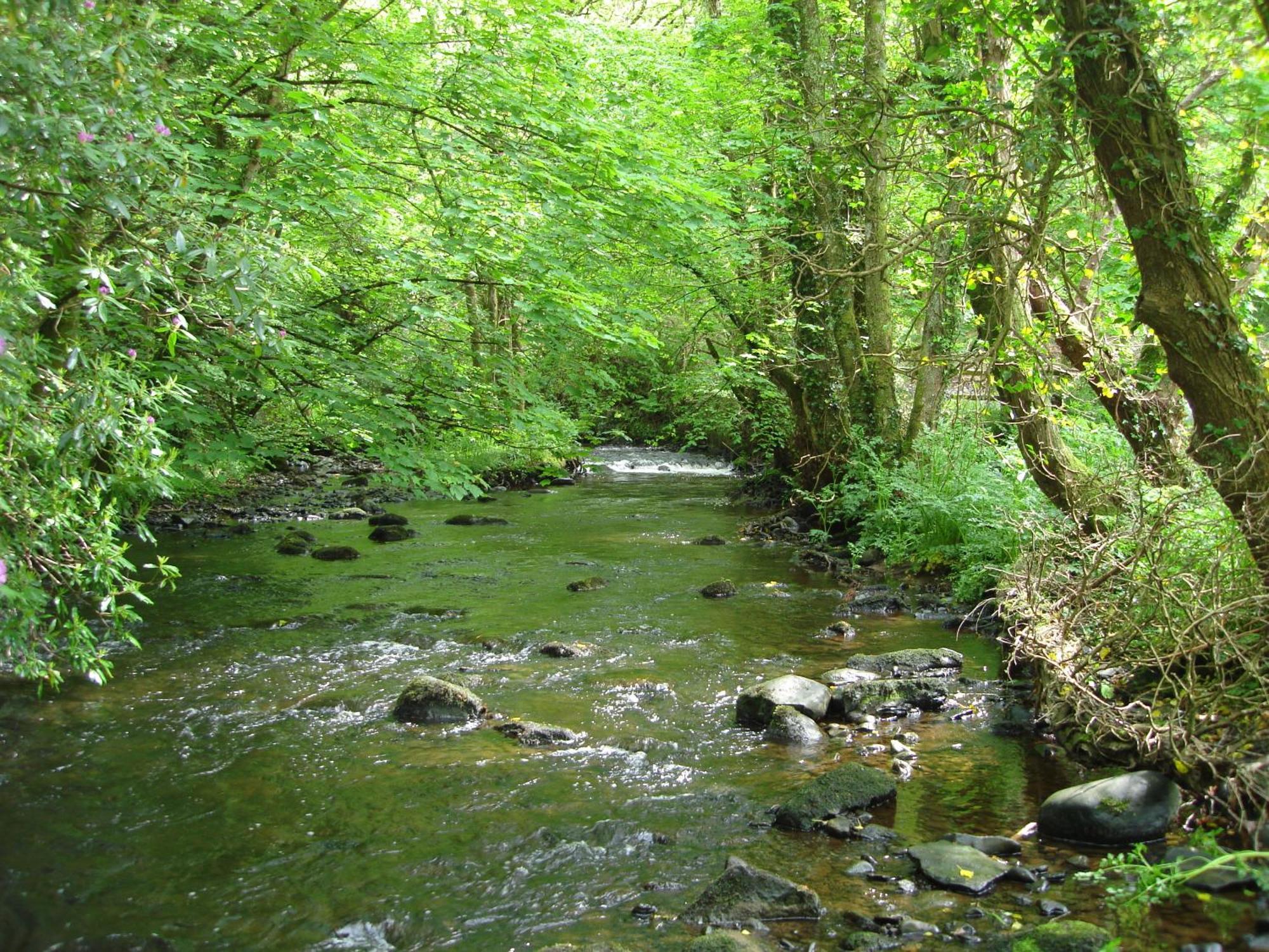 Gleann Fia Country House Killarney Extérieur photo