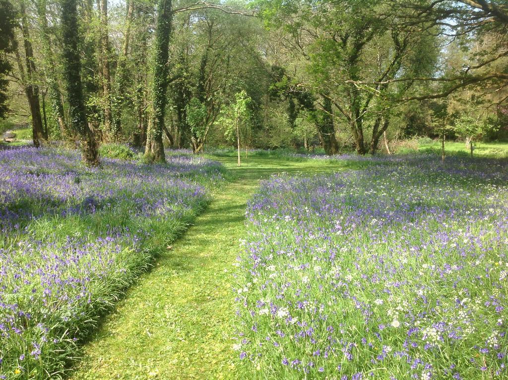 Gleann Fia Country House Killarney Extérieur photo